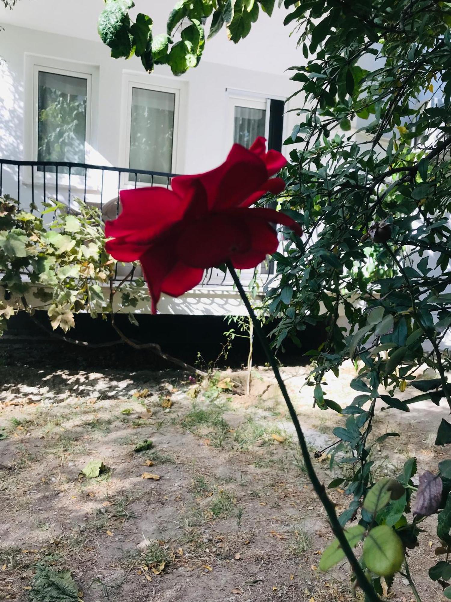 White House Tam Donanimli Bahceli Bueyuek Ev Apartment Pamukkale Exterior photo